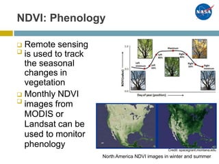 NDVI: Phenology
Remote sensing
is used to track
the seasonal
changes in
vegetation
Monthly NDVI
images from
MODIS or
Landsat can be
used to monitor
phenology




Credit: spacegrant.montana.edu
North America NDVI images in winter and summer
 