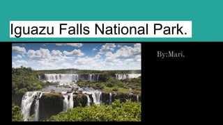 Iguazu Falls National Park.
By:Mari.
 