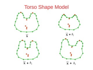 Torso Shape Model 
+ 
+ + 
 