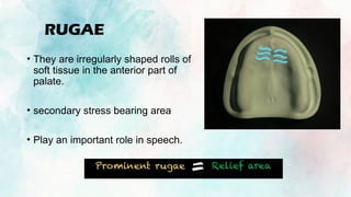 Turtle Rugae ANATOMICAL LANDMARKS OF EDENTULOUS MAXILLARY ARCH | PPTX