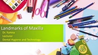 Landmarks of Maxilla
Dr. Yumna
Lecturer
Dental Hygiene and Technology
 