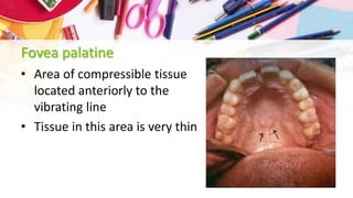 Landmarks of maxilla | PPTX