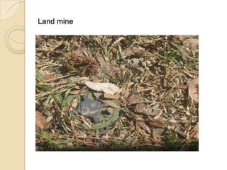 Land mine
 