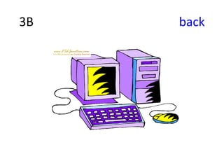 3B   back
 