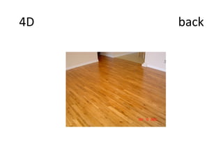 4D   back
 
