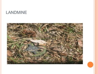 LANDMINE
 