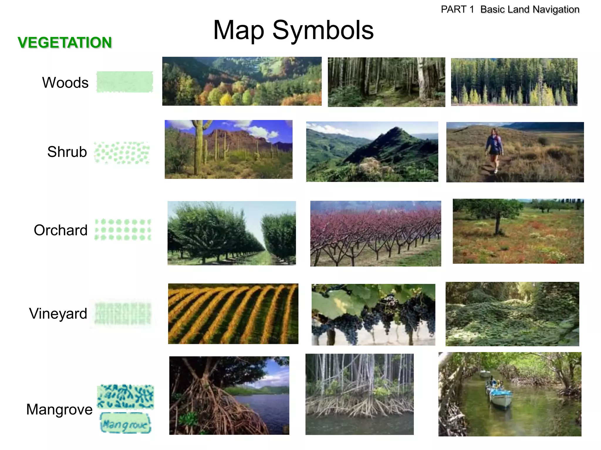 PART 1 Basic Land Navigation


VEGETATION
             Map Symbols
  Woods



   Shrub




 Orchard




 Vineyard




Mangrove
 
