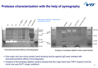 Next generation biotherapeutics production system Trichoderma reesei | PPT