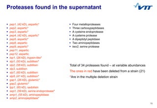 13
Proteases found in the supernatant
 pep1, (42 kD), aspartic*
 pep2, aspartic*
 pep3, aspartic*
 pep4, (42 kD), aspa...