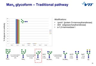 24
Best approaches – clean Man5%N-glycanonantibody
Modifications:
• ∆pmt1 [protein O-mannosyltransferase]
• Stt3 [oligosac...