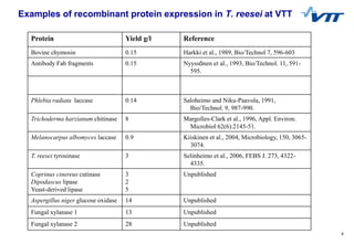 4
Examples of recombinant protein expression in T. reesei at VTT
Protein Yield g/l Reference
Bovine chymosin 0.15 Harkki e...