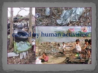  caused by human activities