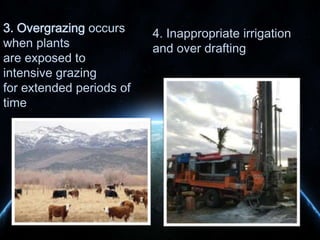 3. Overgrazing occurs
when plants
are exposed to
intensive grazing
for extended periods of
time

4. Inappropriate irrigation
and over drafting

 