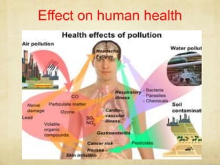 Effect on human health
 