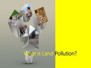 What is Land Pollution?
 
