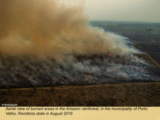 Aerial view of burned areas in the Amazon rainforest, in the municipality of Porto
Velho, Rondônia state in August 2019
 