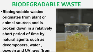 BIODEGRADABLE WASTE
•Biodegradable wastes
originates from plant or
animal sources and is
broken down in a relatively
short period of time by
natural agents such as
decomposers, water ,
oxygen and UV rays (from
 