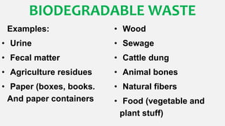 BIODEGRADABLE WASTE
Examples:
• Urine
• Fecal matter
• Agriculture residues
• Paper (boxes, books.
And paper containers
• Wood
• Sewage
• Cattle dung
• Animal bones
• Natural fibers
• Food (vegetable and
plant stuff)
 