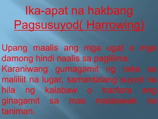 Ika-apat na hakbang
Pagsusuyod( Harrowing)
Upang maalis ang mga ugat o mga
damong hindi naalis sa paglilinis.
Karaniwang gumagamit ng rake sa
maliliit na lugar, samantalang suyod na
hila ng kalabaw o tractora ang
ginagamit sa mas malalawak na
taniman.
 