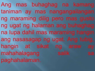 Ang mas buhaghag na kamang
taniman ay mas nangangailangan
ng maraming dilig pero mas gusto
ng ugat ng halaman ang buhaghag
na lupa dahil mas maraming hangin
ang nasasagap ng ugat. Ang tubig,
hangin at sikat ng araw ay
mahahalagang salik sa
paghahalaman.
 