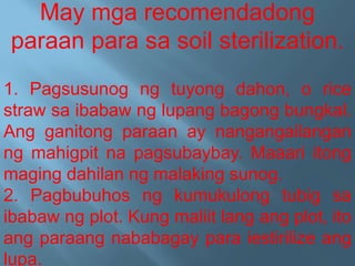 May mga recomendadong
paraan para sa soil sterilization.
1. Pagsusunog ng tuyong dahon, o rice
straw sa ibabaw ng lupang bagong bungkal.
Ang ganitong paraan ay nangangailangan
ng mahigpit na pagsubaybay. Maaari itong
maging dahilan ng malaking sunog.
2. Pagbubuhos ng kumukulong tubig sa
ibabaw ng plot. Kung maliit lang ang plot, ito
ang paraang nababagay para iestirilize ang
lupa.
 