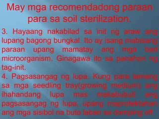 May mga recomendadong paraan
para sa soil sterilization.
3. Hayaang nakabilad sa init ng araw ang
lupang bagong bungkal. Ito ay isang mabisang
paraan upang mamatay ang mga bad
microorganism. Ginagawa ito sa panahon ng
tag-init.
4. Pagsasangag ng lupa. Kung para lamang
sa mga seedling tray(growing medium) ang
ihahandang lupa mas makabubuti ang
pagsasangag ng lupa, upang maprotektahan
ang mga sisibol na buto laban sa damping off.
 