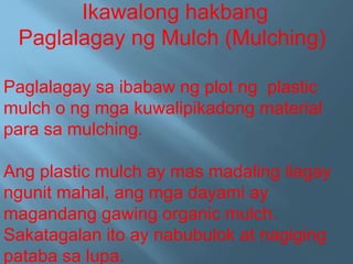Ikawalong hakbang
Paglalagay ng Mulch (Mulching)
Paglalagay sa ibabaw ng plot ng plastic
mulch o ng mga kuwalipikadong material
para sa mulching.
Ang plastic mulch ay mas madaling ilagay
ngunit mahal, ang mga dayami ay
magandang gawing organic mulch.
Sakatagalan ito ay nabubulok at nagiging
pataba sa lupa.
 