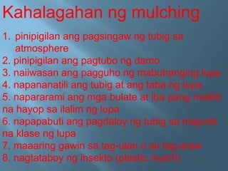 Kahalagahan ng mulching
1. pinipigilan ang pagsingaw ng tubig sa
atmosphere
2. pinipigilan ang pagtubo ng damo
3. naiiwasan ang pagguho ng mabuhanging lupa
4. napananatili ang tubig at ang taba ng lupa
5. napararami ang mga bulate at iba pang maliliit
na hayop sa ilalim ng lupa
6. napapabuti ang pagdaloy ng tubig sa maputik
na klase ng lupa
7. maaaring gawin sa tag-ulan o sa tag-araw
8. nagtataboy ng insekto (plastic mulch)
 