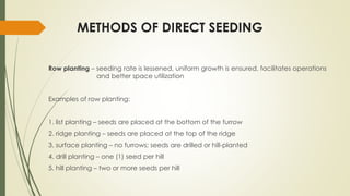 LAND PREPARATION AND PLANTING PRACTICES.pdf