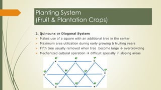 LAND PREPARATION AND PLANTING PRACTICES.pdf