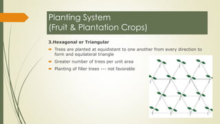 LAND PREPARATION AND PLANTING PRACTICES.pdf