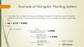 LAND PREPARATION AND PLANTING PRACTICES.pdf