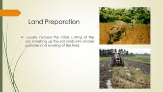 Land Making LAND PREPARATION AND PLANTING PRACTICES.pdf