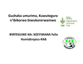 Gushaka umurima, Kuwutegura
n’ibikorwa biwukorerwamwo
BYATEGUWE NA: NZEYIMANA Felix
Humidtropics-RAB
 
