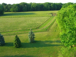 Snook Road Aerials