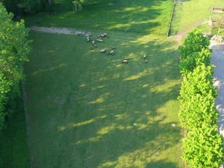 Snook Road Aerials