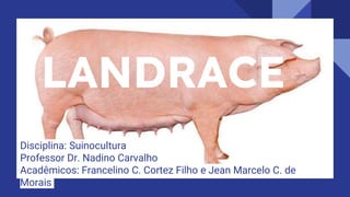 LANDRACE
Disciplina: Suinocultura
Professor Dr. Nadino Carvalho
Acadêmicos: Francelino C. Cortez Filho e Jean Marcelo C. de
Morais
 