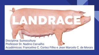 LANDRACE
Disciplina: Suinocultura
Professor Dr. Nadino Carvalho
Acadêmicos: Francelino C. Cortez Filho e Jean Marcelo C. de Morais
 