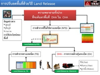 การปรับลดพื้นที่ด้วยวิธี Land Release
ความพยายามทังปวง
้
ที่จะค้ นหาพืนที่ DHA ใน CHA
้
ข้ อมูลข่ าวสาร
•ปฐมภูมิ
•ทุติยภูมิ
•กายภาพ
การใช้ ประโยชน์ ของ
พืนที่
้

การสารวจที่ไม่ ใช่ ทางเทคนิค (NTS)

Land Release by NTS

การสารวจทางเทคนิค (TS)

ตารางสุ่ ม

Land Release by TS

DHA - การกวาดล้ างทุ่นระเบิด (Clr)
•โซ่ (Flail)
•หัวเจาะ (Tiller)
•ลูกกลิ ้ง (Rollers)
Land Release by Clearance

 