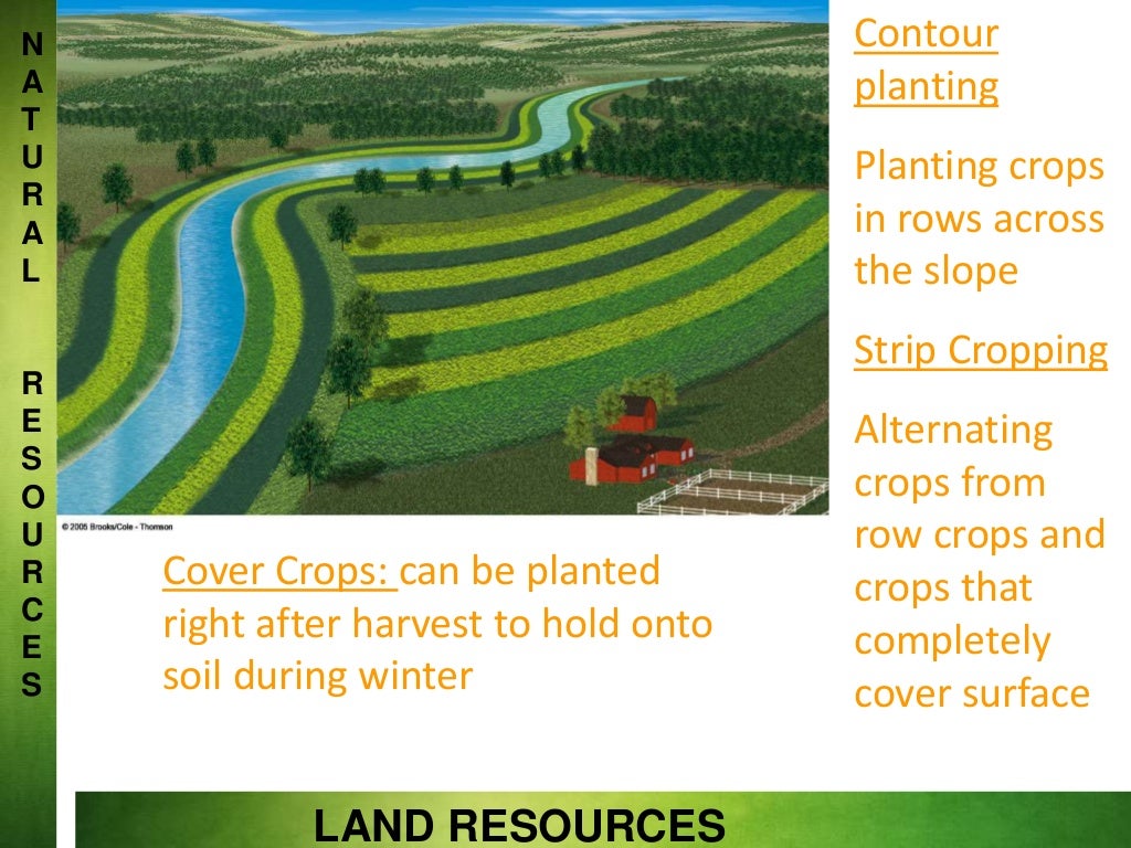 Land resource