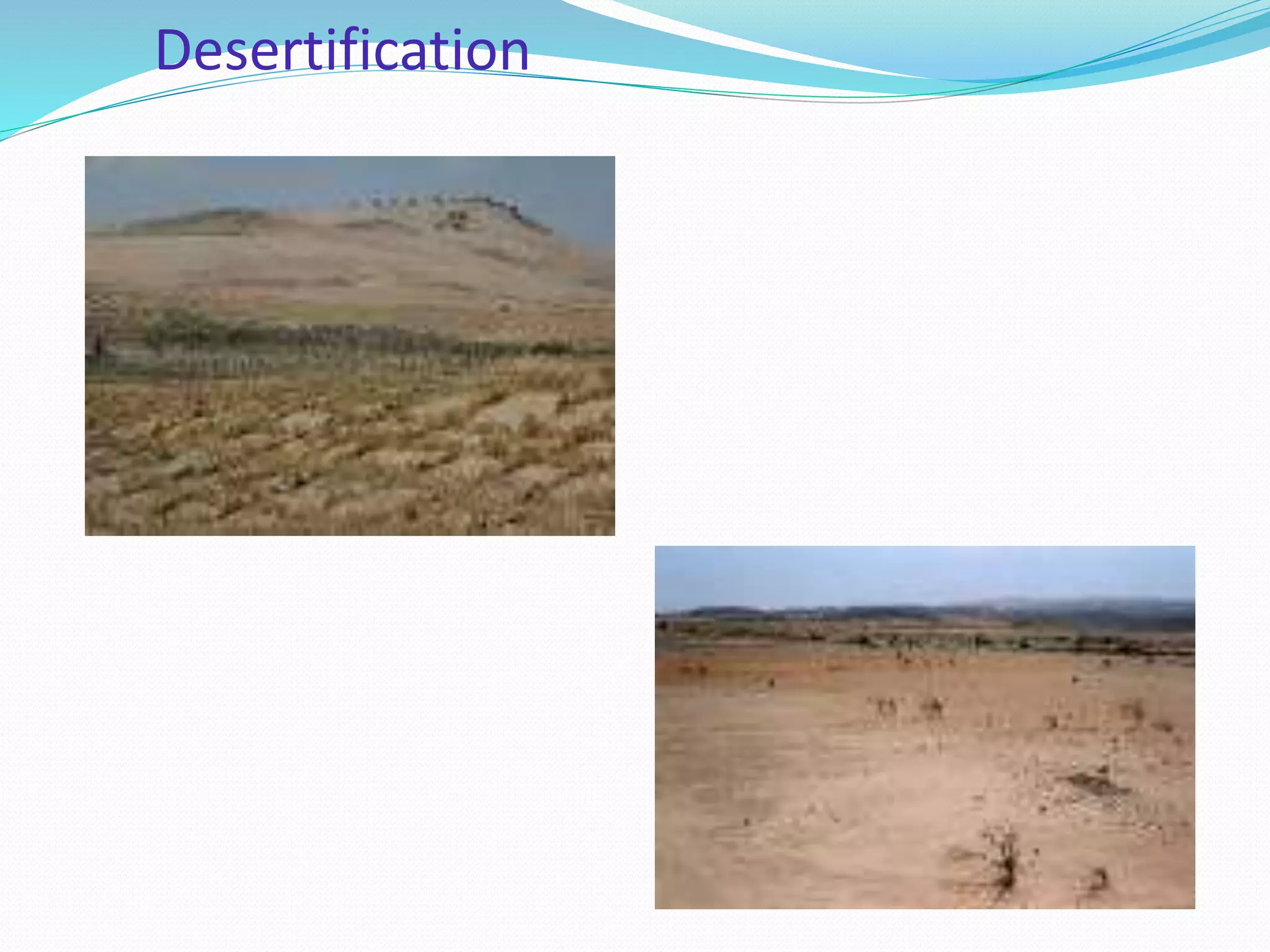 Desertification
 