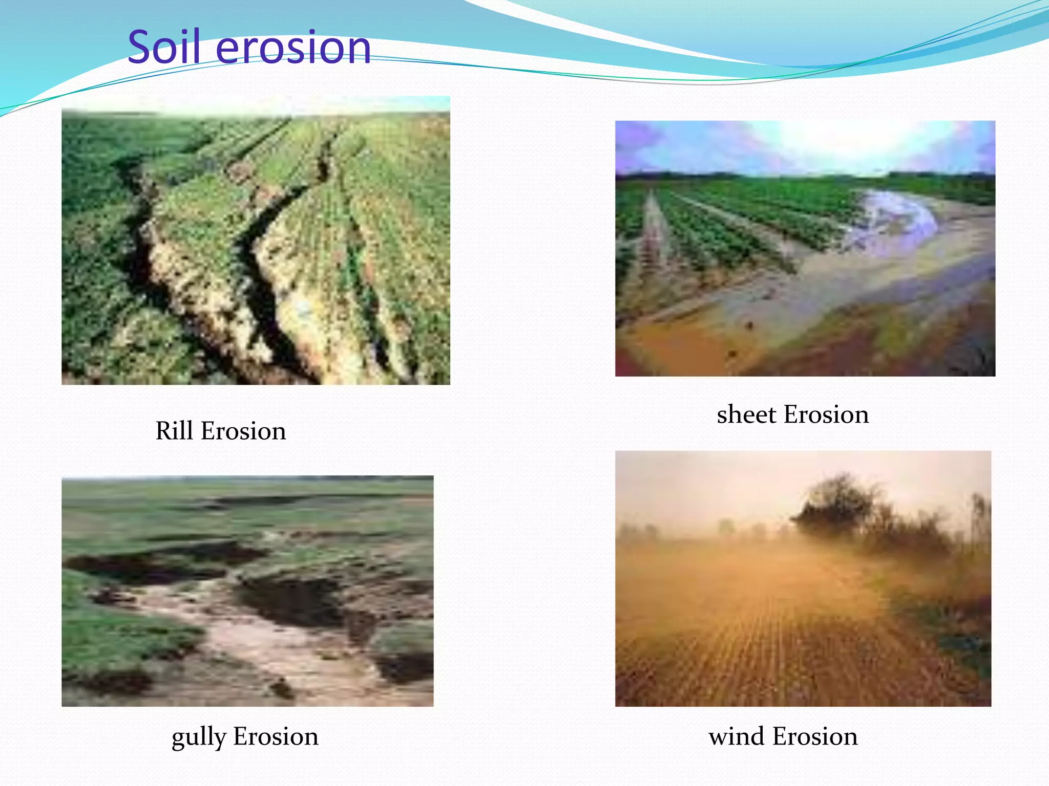 Soil erosion
Rill Erosion
sheet Erosion
gully Erosion wind Erosion
 