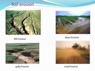 Soil erosion
Rill Erosion
sheet Erosion
gully Erosion wind Erosion
 