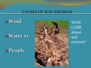 CAUSES OF SOIL EROSION

Wind                        WHY
                             CARE
                             about
Water #1                    soil
                             erosion?

People
 