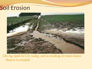 Soil Erosion




 On Ag. land in U.S. today, soil is eroding 16 times faster
  than it is created
 