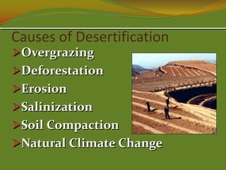 Causes of Desertification
Overgrazing
Deforestation
Erosion
Salinization
Soil Compaction
Natural Climate Change
 