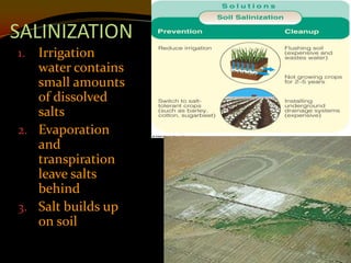 SALINIZATION
1. Irrigation
   water contains
   small amounts
   of dissolved
   salts
2. Evaporation
   and
   transpiration
   leave salts
   behind
3. Salt builds up
   on soil
 