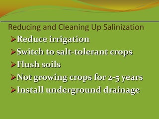 Reducing and Cleaning Up Salinization
Reduce irrigation
Switch to salt-tolerant crops
Flush soils
Not growing crops for 2-5 years
Install underground drainage
 