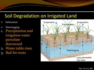 Soil Degradation on Irrigated Land
   Salinization       Evaporation                   Evaporation
                                     Transpiration
   Waterlogging
1. Precipitation and
   irrigation water
   percolate
   downward
2. Water table rises                      Waterlogging
3. Bad for roots
                                                     Less permeable
                                                     clay layer



                                                         Fig. 14-11 p. 283
 