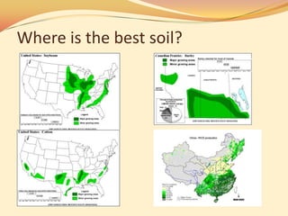 Where is the best soil?
 